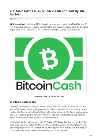 Ví Bitcoin Cash Là Gì? 5 Loại Ví Lưu Trữ BCH Uy Tín, An Toàn