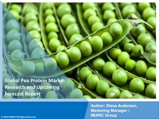 Pea Protein Market PDF, Size, Share, Trends, Industry Scope 2021-2026