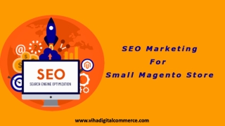 Do You Run a Small Magento Store? Must Think For SEO Marketing