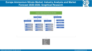 Europe Ammonium Nitrate Market (2020 to 2026) - Share, Size, Trends & Industry Analysis Report