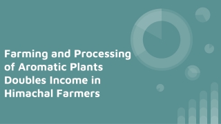 Farming and Processing of Aromatic Plants Doubles Income in Himachal Farmers