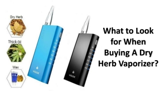 What to Look for When Buying A Dry Herb Vaporizer?