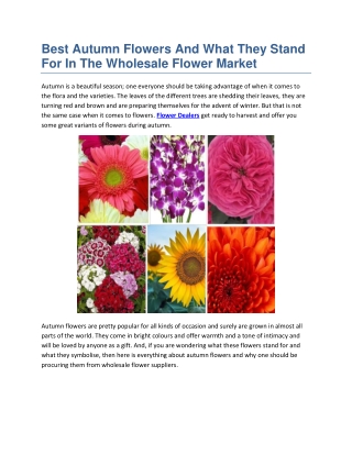 Best Autumn Flowers And What They Stand For In The Wholesale Flower Market