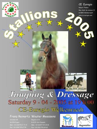 Stallions 2005