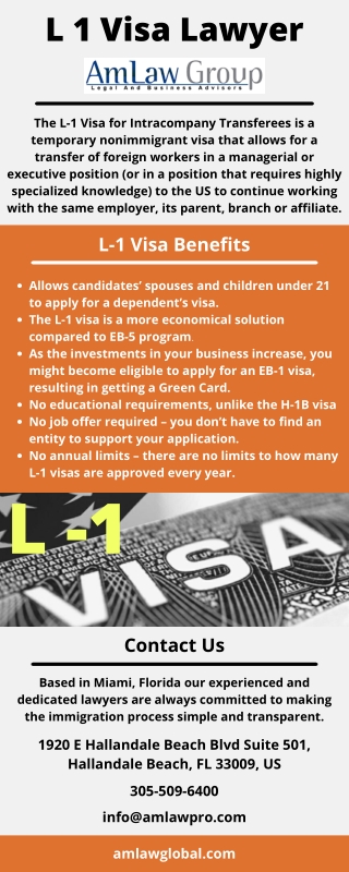 L 1 Visa Lawyer