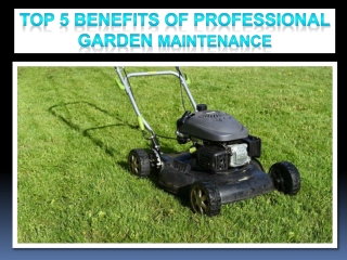 Top 5 Benefits of Professional Garden Maintenance