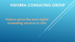 Vidorra gives the best digital marketing services in USA