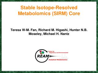 Stable Isotope-Resolved Metabolomics (SIRM) Core Teresa W-M. Fan, Richard M. Higashi, Hunter N.B. Moseley, Michael H. Na