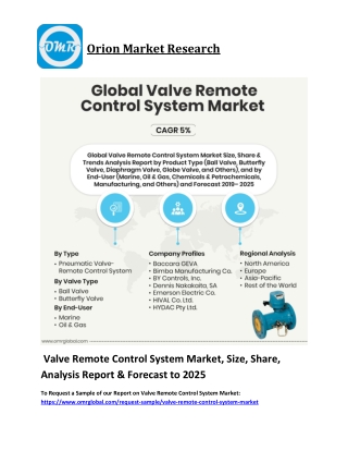 Valve Remote Control System Market Trends, Size, Competitive Analysis and Forecast 2019-2025