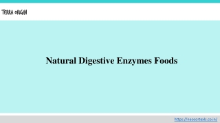 Natural Digestive Enzymes Foods