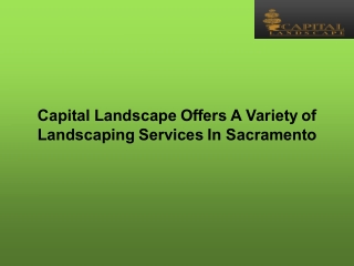 Capital Landscape Offers A Variety of Landscaping Services In Sacramento
