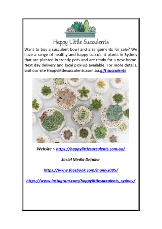 Gift Succulents | Happy Little Succulents