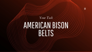 American Bison Belts