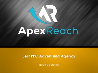 Best PPC Advertising Agency - Apexreach.net