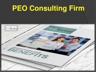 PEO Consulting Firm