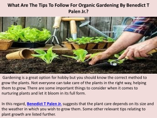 What Are The Tips To Follow For Organic Gardening By Benedict T Palen Jr.?