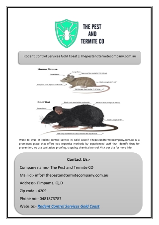 Rodent Control Services Gold Coast | Thepestandtermitecompany.com.au