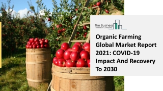 Organic Farming Market Current Status, Recent Developments, Significant Growth Rate