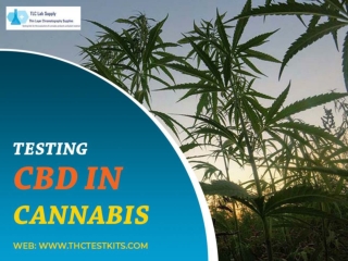 Why Testing Cbd in Cannabis with Thc Testing Kits is Simple than Other Procedure?