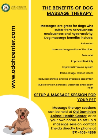 The Benefits of Dog Massage Therapy - Veterinarian McLean