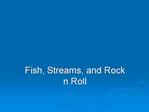 Fish, Streams, and Rock n Roll