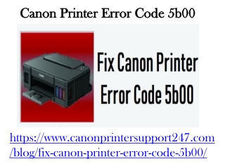 Canon Printer Error Code 5b00
