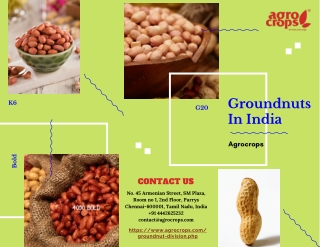 Know About The Groundnuts In India