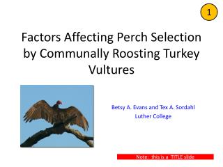 Factors Affecting Perch Selection by Communally Roosting Turkey Vultures