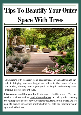 5 Tips To Beautify Your Outer Space With Trees