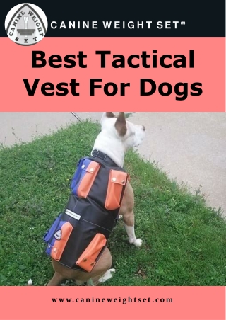 Best tactical vest for dogs