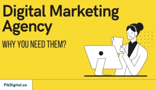 Reasons Why You Need Digital Marketing Agency in Toronto