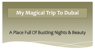 My Magical Trip To Dubai - A Place Full Of Bustling Nights