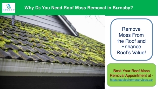 Why Do You Need Roof Moss Removal in Burnaby?