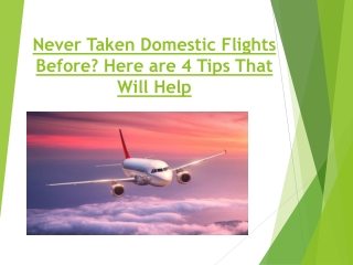 Never Taken Domestic Flights Before? Here are 4 Tips That Will Help