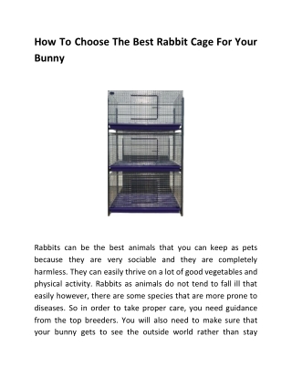 How To Choose The Best Rabbit Cage For Your Bunny