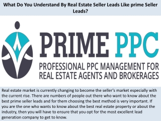 What Do You Understand By Real Estate Seller Leads Like prime Seller Leads?