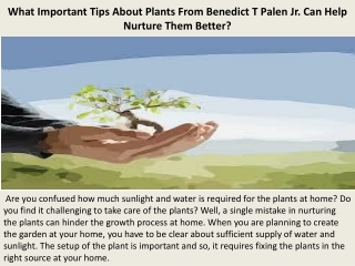 What Important Tips About Plants From Benedict T Palen Jr. Can Help Nurture Them Better?