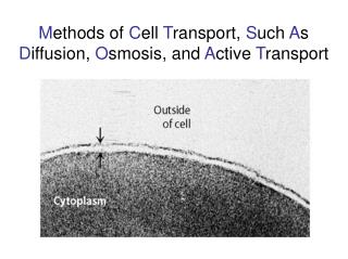 M ethods of C ell T ransport, S uch A s D iffusion, O smosis, and A ctive T ransport