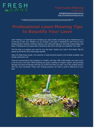 Professional Lawn Mowing Tips to Beautify Your Lawn