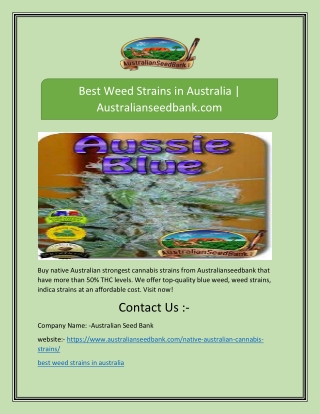 Best Weed Strains in Australia | Australianseedbank.com