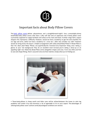 Body pillow covers