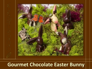 Gourmet Easter Chocolate | Gourmet Chocolate Easter Bunny