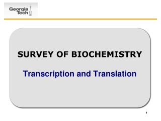 SURVEY OF BIOCHEMISTRY Transcription and Translation