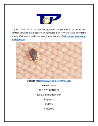 Pest Control Companies in Singapore