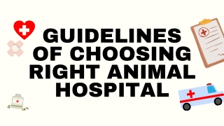 Guidelines of Choosing Right Animal Hospital