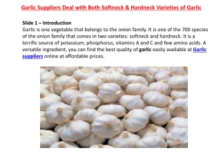 Garlic Suppliers Deal with Both Softneck & Hardneck Varieties of Garlic