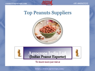 Top Peanuts Suppliers