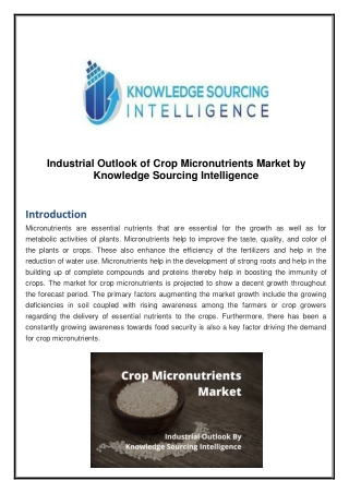 Industrial Outlook of Crop Micronutrients Market