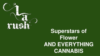 Weed Delivery Northridge - LA Rush