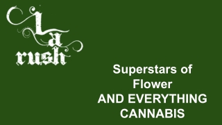 Weed Delivery Northridge - LA Rush